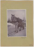 1914 Egy lovas fogat a téli Népligetben, kartonra ragasztva, feliratozva, 11x8 cm