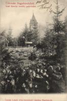 Nagykároly, Gróf Károlyi kastély park, Csokás László kiadása / castle park (EK)