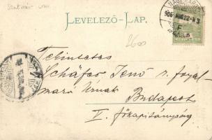 Nagykároly, Gróf Károlyi kastély park, Csokás László kiadása / castle park (EK)