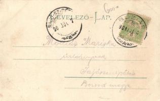 Buziás, liget / park (EK)