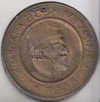 DN "Zrínyi Miklós Akadémia Pécsett" Br lemezérem (46mm) szign.:ARKANZAS EFEZT T:2- ly.