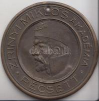 DN "Zrínyi Miklós Akadémia Pécsett" Br lemezérem (46mm) szign.:ARKANZAS EFEZT T:2- ly