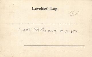 Tasnád, az épülő Római katolikus templom / church (EK)