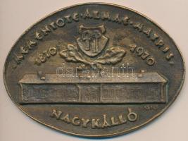 Csúcs Ferenc (1905-1999) 1970. "Mementote Almae Matris - Nagykálló - 1870-1970" ovális emlékérem (80mmx104mm) T:2