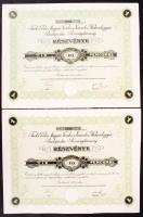 Budapest 1925. Fuchs G. Első Magyar Tizedes és Százados Hidmérleggyár Budapesten Részvénytársaság részvénye 10 pengőről, szelvényekkel (2x) egymás utáni sprszámmal T:I
