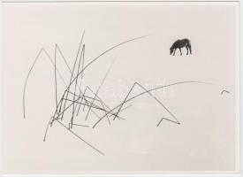 1990 Dieter Bauer (Németország) vintage alkotása, feliratozva, 11x15 cm