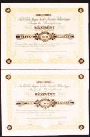 Budapest 1925. Fuchs G. Első Magyar Tizedes és Százados Hidmérleggyár Budapesten Részvénytársaság részvénye 100 pengőről, szelvényekkel (2x) egymás utáni sprszámmal T:I