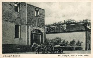 Mád ´Ott vagyok ahol a Mádi zsidó´, Judaica (EM)