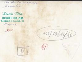 cca 1960-1970 Krisch Béla: Vízparton, balatoni szocreál életkép, vintage fotóművészeti alkotás, feli...