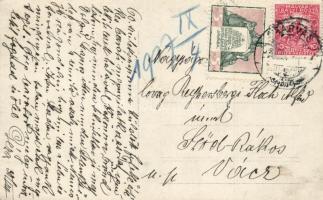 Szarvas, Gróf Bolza kastély, photo