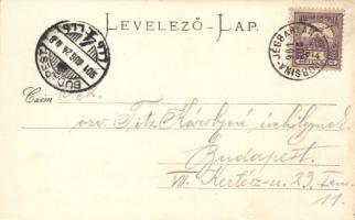 Dobsina, Jégbarlang / Eishöhle, floral