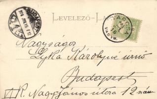 Tarcsa, Tatzmannsdorf, Curhof, Anna Bad / spa, floral