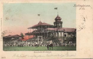 Kottingbrunn, Rennbahn-Tribünen / horse racing field (fl)
