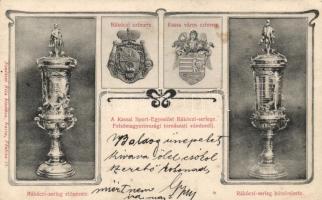 Kassa, a Kassai Sport-Egyesület Rákóczi-serlege; Nyulászi Béla kiadása / memorial chalice, Art Nouveau