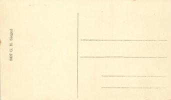 Szeged, Vasúti híd vonattal