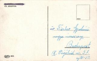 Csallóközaranyos, Zlatná na Ostrove; Bata shoeshop, automobile