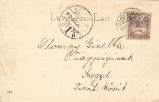 Fehértemplom, Ungarisch Weisskirchen