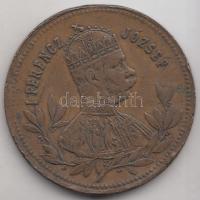 1896. "I. Ferencz József / Millenniumi emlék" emlékérem T:2-