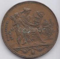 1896. "I. Ferencz József / Millenniumi emlék" emlékérem T:2-