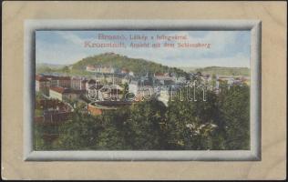 Brassó, Fellegvár (fa)