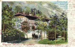 Miskolc, Hámori vendéglő (fl)