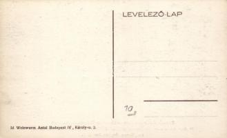 1913 Budapest XXII. Budafok, osztrák borászok látogatása Josef Frohner pincészetében