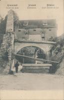 Brassó árokmente / Graft