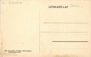 Selmecbánya, villatelep; Grohmann kiadása/ villas