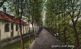 Gyopárosfürdő sétány (fa)