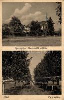 Balatonakali, Igazságügyi Tisztviselők üdülője, Parti sétány (fa)