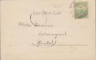 Bácsszenttamás, the shop of Ilija Jankovic; floral