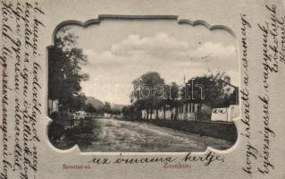 Zombor, Szontai út / street