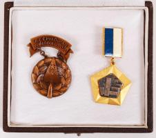 ~1950-60. "Az Építőipar Kiváló Dolgozója" Br és zománcozott kitüntetések dísztokban T:1