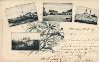 Torda, Cellulózgyár, Mendel L. sörgyára; Botár J. fényképész kiadása / cellulose factory, brewery; floral