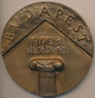 1994. "FIDEM (Nemzetközi Éremművészeti Kiállítás) Budapest / XXIV" Br emlékplakett (81mm) T:2
