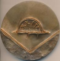 1994. "FIDEM (Nemzetközi Éremművészeti Kiállítás) Budapest / XXIV" Br emlékplakett (81mm) ...