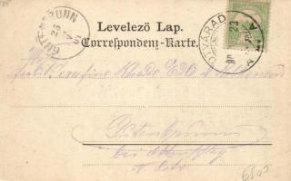 Marosszlatina, Gyártelep, vasútállomás, sikló / factory plant, railway station funicular; floral