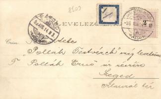 1898 Nagyszentmiklós, Sörfőzde, Czenzinger szálloda / brewery, hotel; floral litho