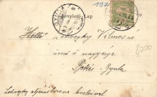 Szatmár, Kálvária, conviktus / calvary church, floral litho