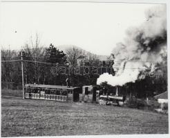 cca 1930-1940 Kisvasút a hegyekben, későbbi nagyítás, 11x14 cm