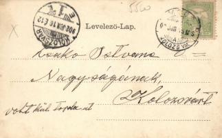 Kolozsvár, Sétatéri tó, mulató; Rigó Árpád kiadása / park, floral litho