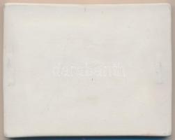 1984. "MEDFILEX" nemzetközi bélyegkiállítás alkalmából kiadott plakett (94mmx121mm) T:1 Er...