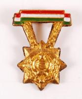 ~1960. "Állami Gazdaság Kiváló Dolgozója" zománcozott kitüntetés T:1- dísztokban