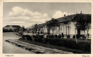 Csongrád Piac tér (fa)