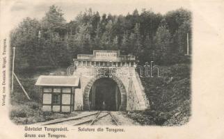 Teregova, vasúti alagút / railroad tunnel, Verlag von Dominik Wegel