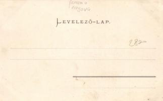 Teregova, vasúti alagút / railroad tunnel, Verlag von Dominik Wegel