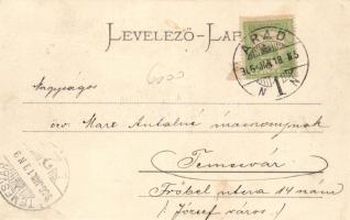 Lugos, Király utca, Grünberger Ede kereskedése; Nemes Kálmán kiadása / street, shops