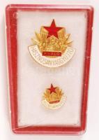 ~1960-1970. "Kiváló Hasznosanyaggyűjtő" zománcozott fém jelvény miniatűrrel tokban T:1