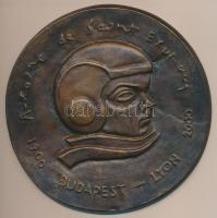 2000. "Antoine de Saint Exupary 1900 Budapest - Lyon 2000" Br emlékérem (122mm) T:2