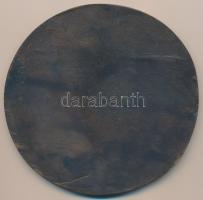 2000. "Antoine de Saint Exupary 1900 Budapest - Lyon 2000" Br emlékérem (122mm) T:2